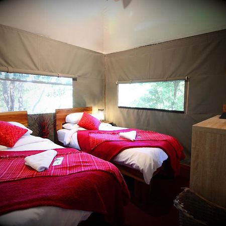 סטורמסריבייר Mali Boutique Lodge & Tube 'N Axe Budget Accommodation חדר תמונה