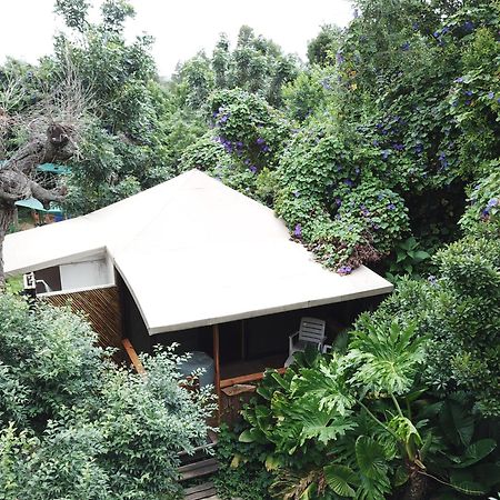 סטורמסריבייר Mali Boutique Lodge & Tube 'N Axe Budget Accommodation חדר תמונה