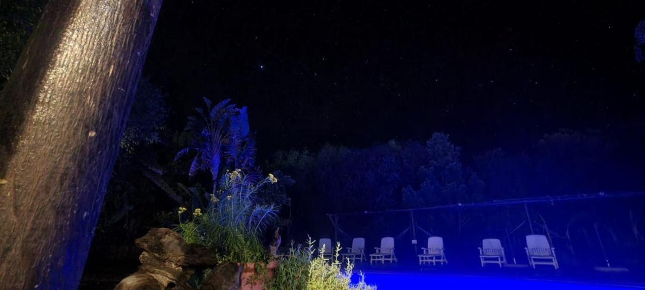 סטורמסריבייר Mali Boutique Lodge & Tube 'N Axe Budget Accommodation מראה חיצוני תמונה