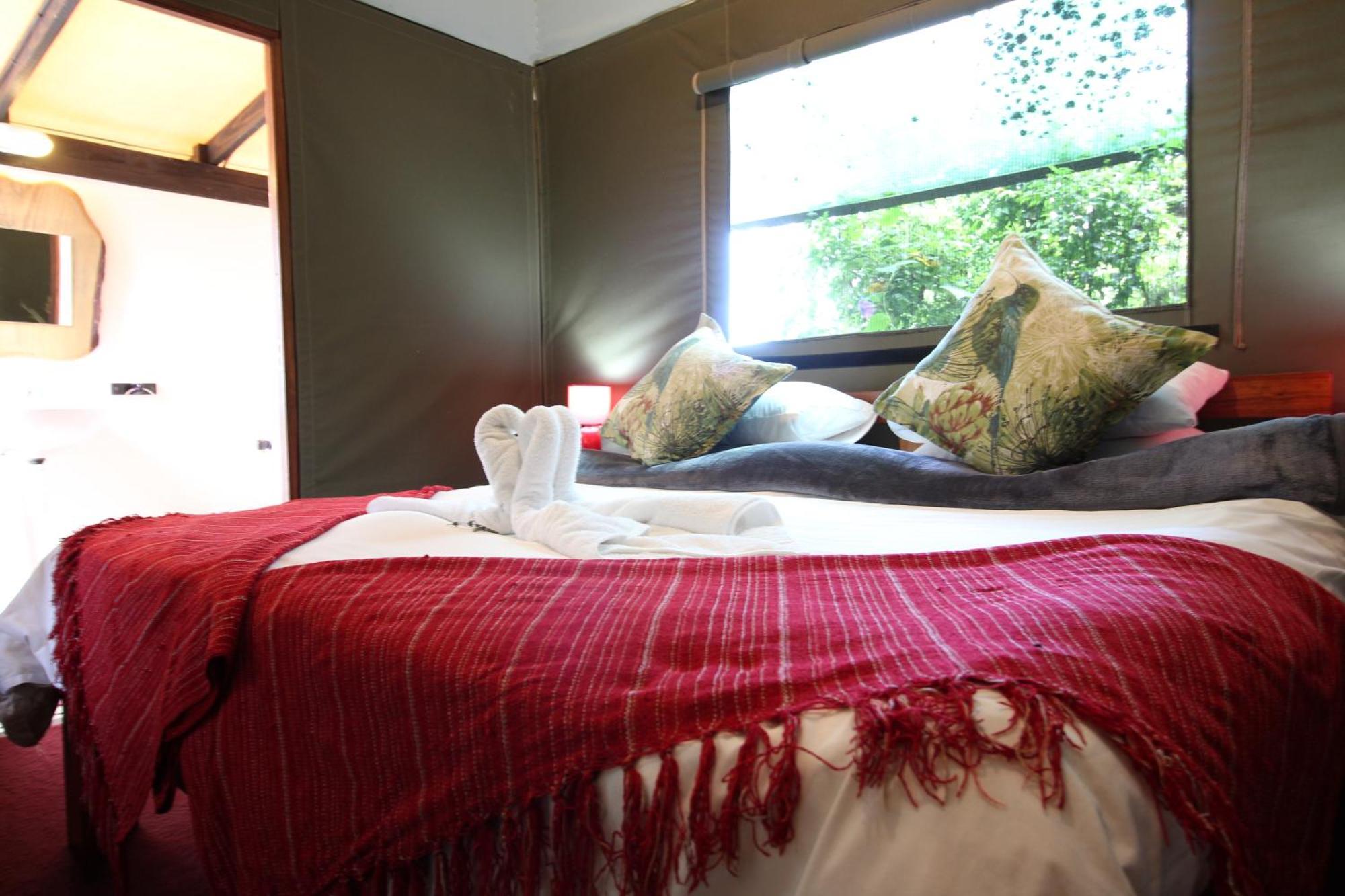 סטורמסריבייר Mali Boutique Lodge & Tube 'N Axe Budget Accommodation חדר תמונה