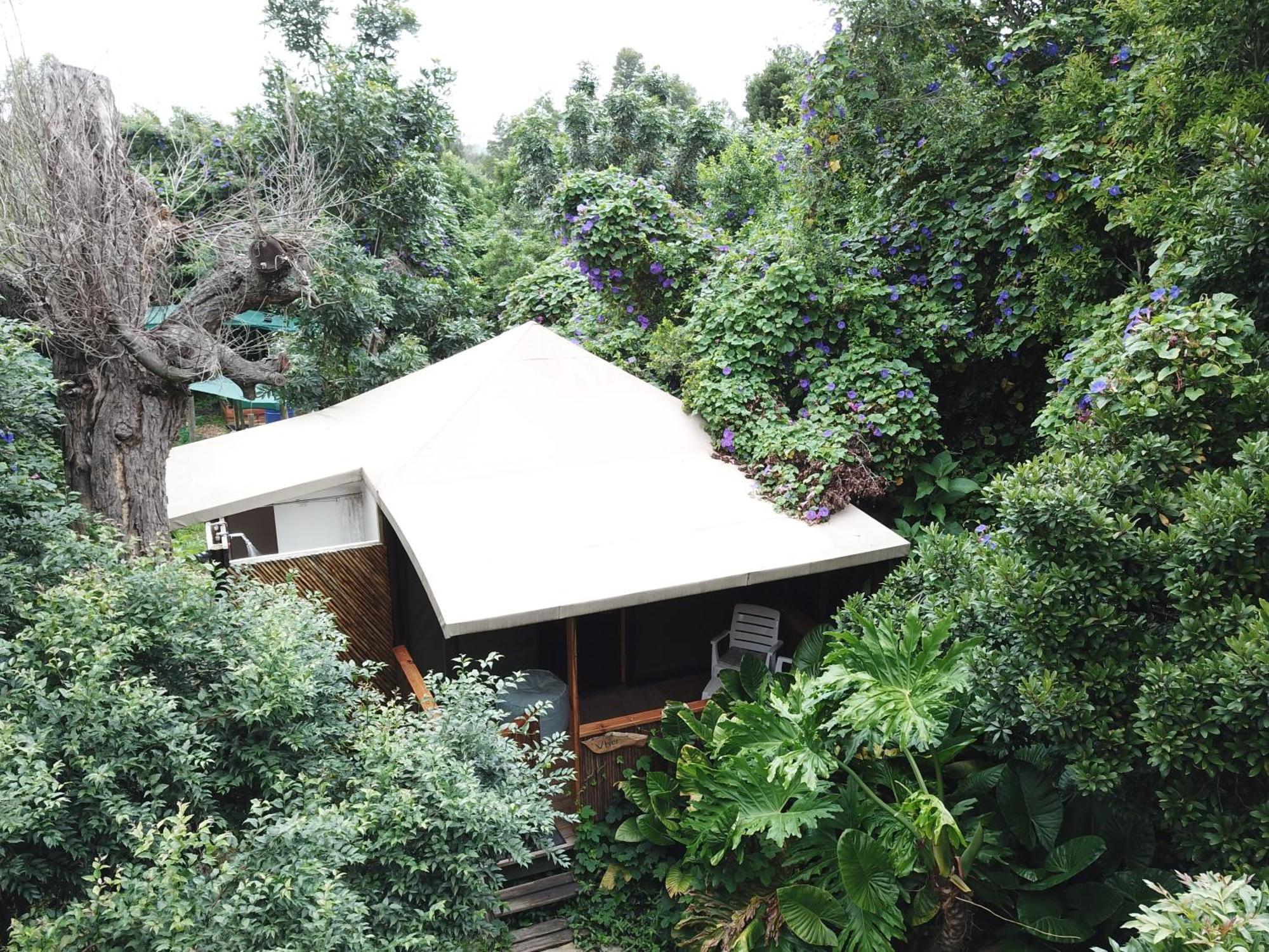 סטורמסריבייר Mali Boutique Lodge & Tube 'N Axe Budget Accommodation חדר תמונה