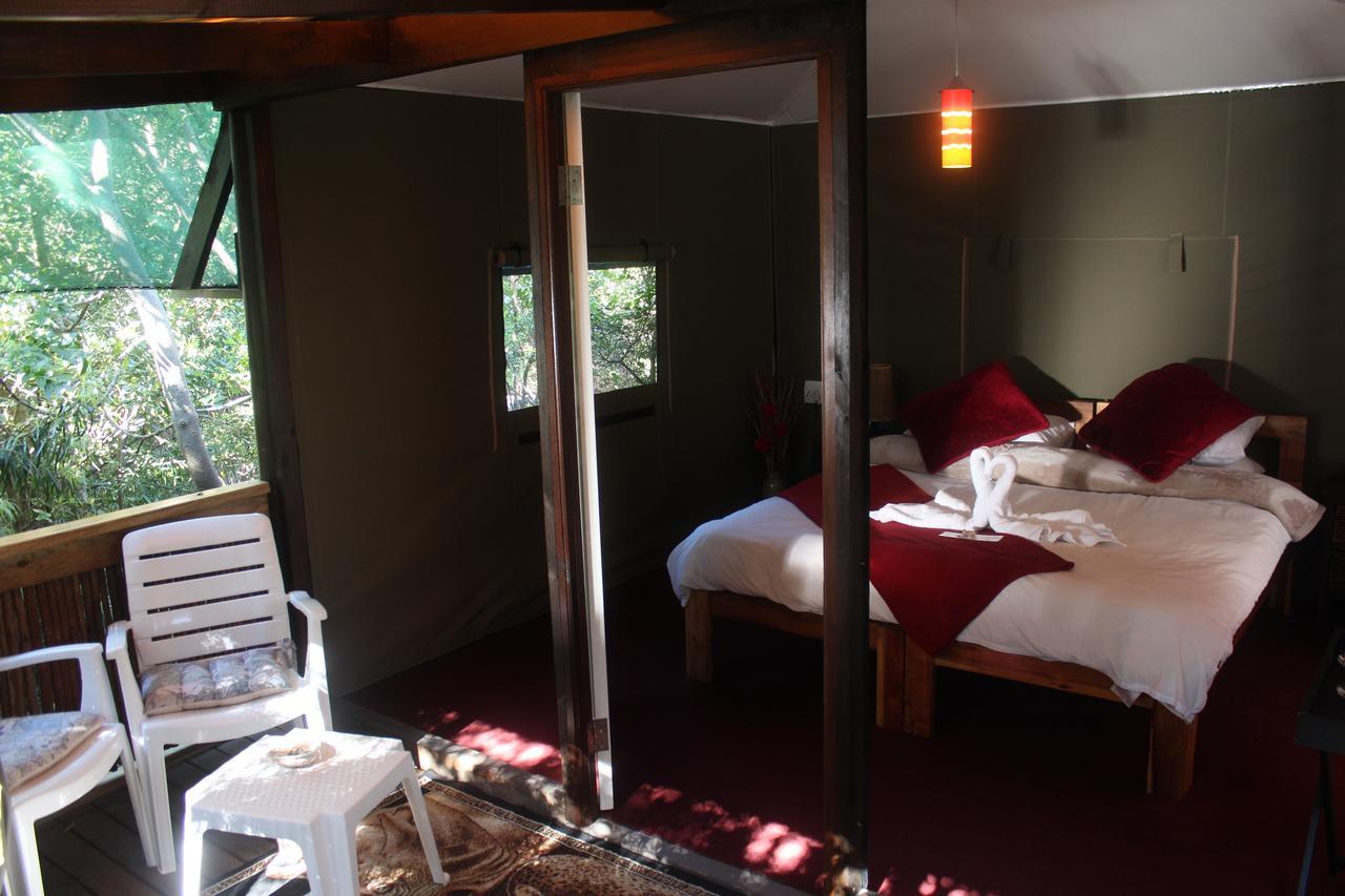 סטורמסריבייר Mali Boutique Lodge & Tube 'N Axe Budget Accommodation מראה חיצוני תמונה