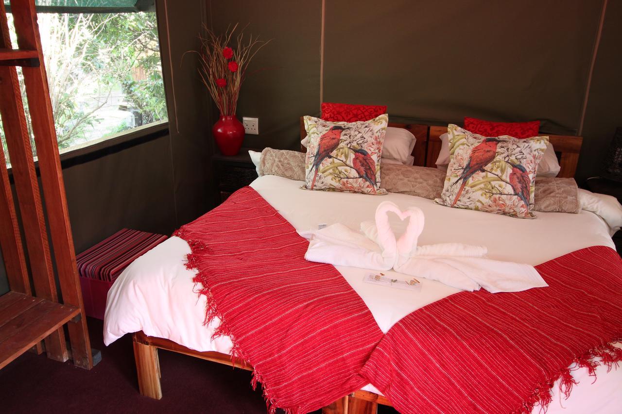 סטורמסריבייר Mali Boutique Lodge & Tube 'N Axe Budget Accommodation מראה חיצוני תמונה