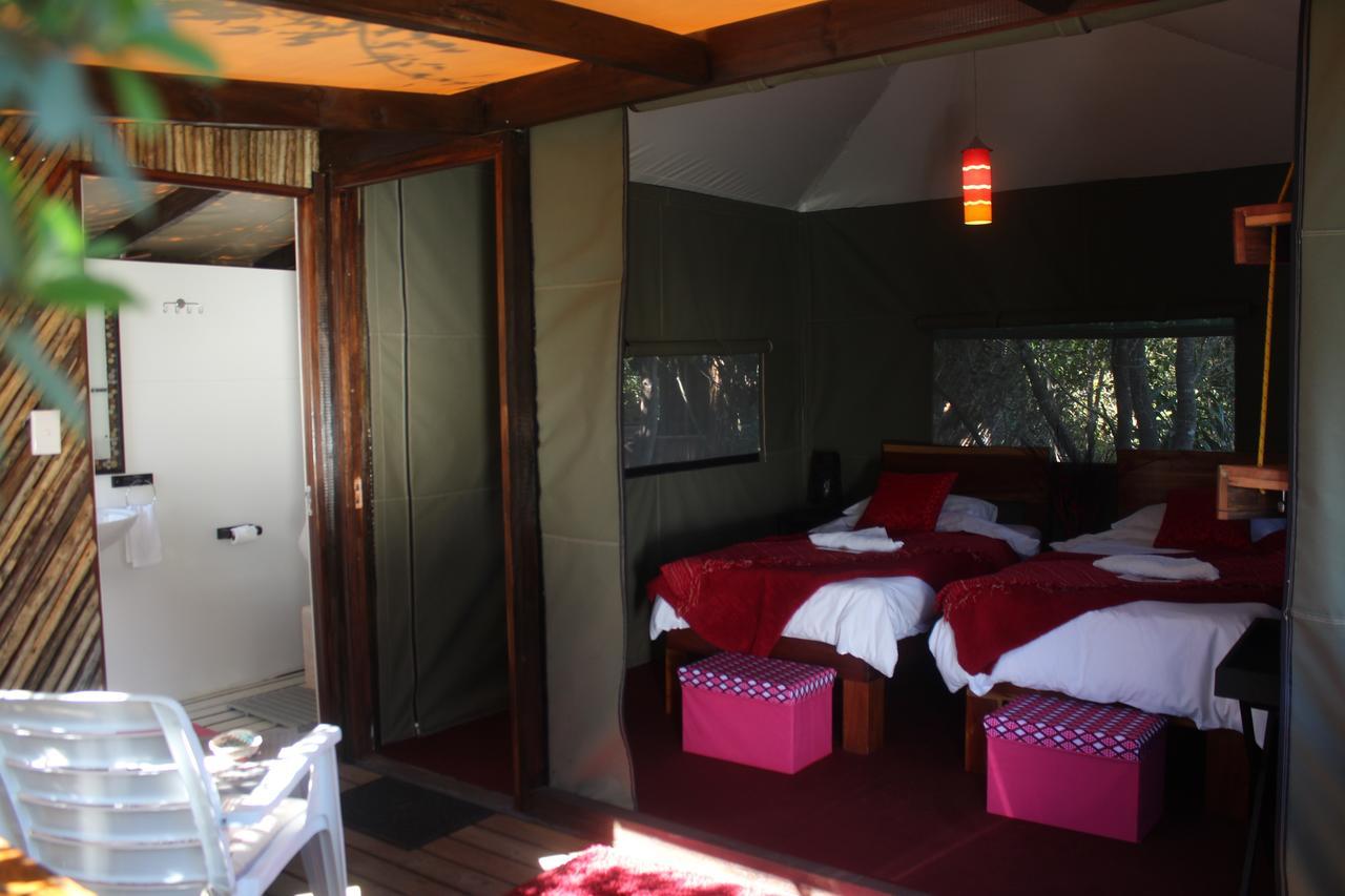 סטורמסריבייר Mali Boutique Lodge & Tube 'N Axe Budget Accommodation מראה חיצוני תמונה