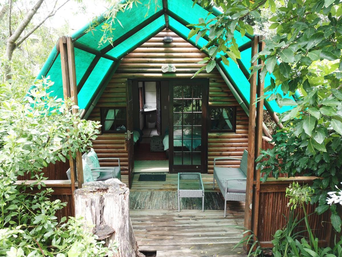סטורמסריבייר Mali Boutique Lodge & Tube 'N Axe Budget Accommodation מראה חיצוני תמונה