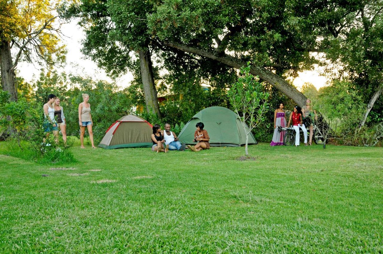סטורמסריבייר Mali Boutique Lodge & Tube 'N Axe Budget Accommodation מראה חיצוני תמונה