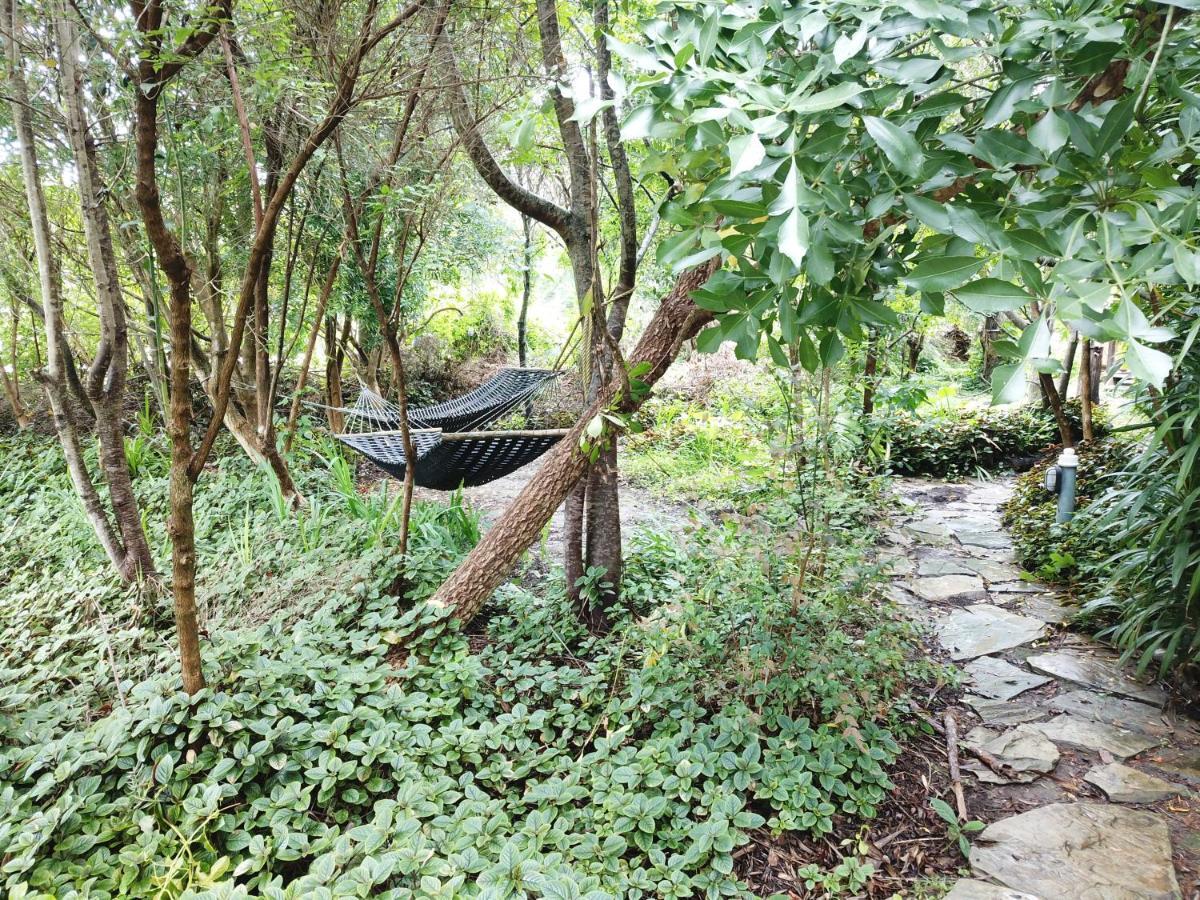 סטורמסריבייר Mali Boutique Lodge & Tube 'N Axe Budget Accommodation מראה חיצוני תמונה