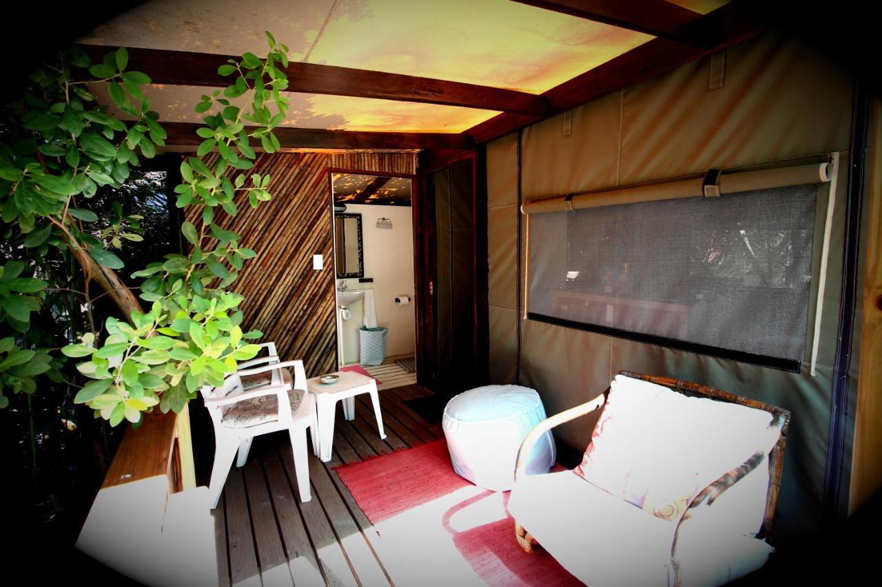 סטורמסריבייר Mali Boutique Lodge & Tube 'N Axe Budget Accommodation מראה חיצוני תמונה